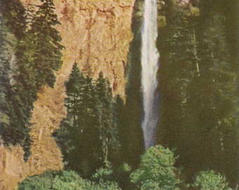 Oregon: Vintage Postcard of Multnomah Falls on the Columbia River in Oregon. This Vintage Oregon Postcard is Circa 1930&#39;s.