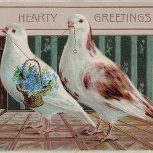 Vintage "Hearty Greetings" Postkarte – Geprägte Tauben mit Blumen & Ehering