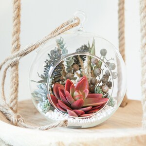 GLASS ONLY: 6&quot; Round Glass Terrarium - Glass Orb Terrarium, Gift, Artificial Terrarium, Living Terrarium DIY, Sit or Hanging Glass Terrarium