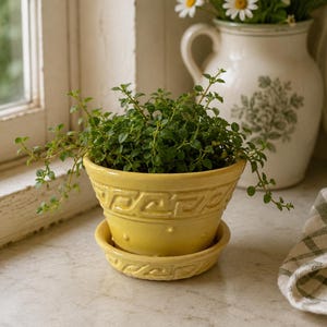 Op de afbeelding: Een felgele keramische plantenpot met bijpassende schotel, voorzien van een verhoogd Grieks sleutelpatroon rond de rand en kleine reliëfstippen op de pot, met daarin een kleine groene plant met dunne stengels en piepkleine ronde blaadjes.