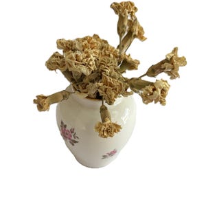 Mini Vase, Royal Kent Vase, Staffordshire Vase, Vintage Vase, Interior Design, Classic Vase