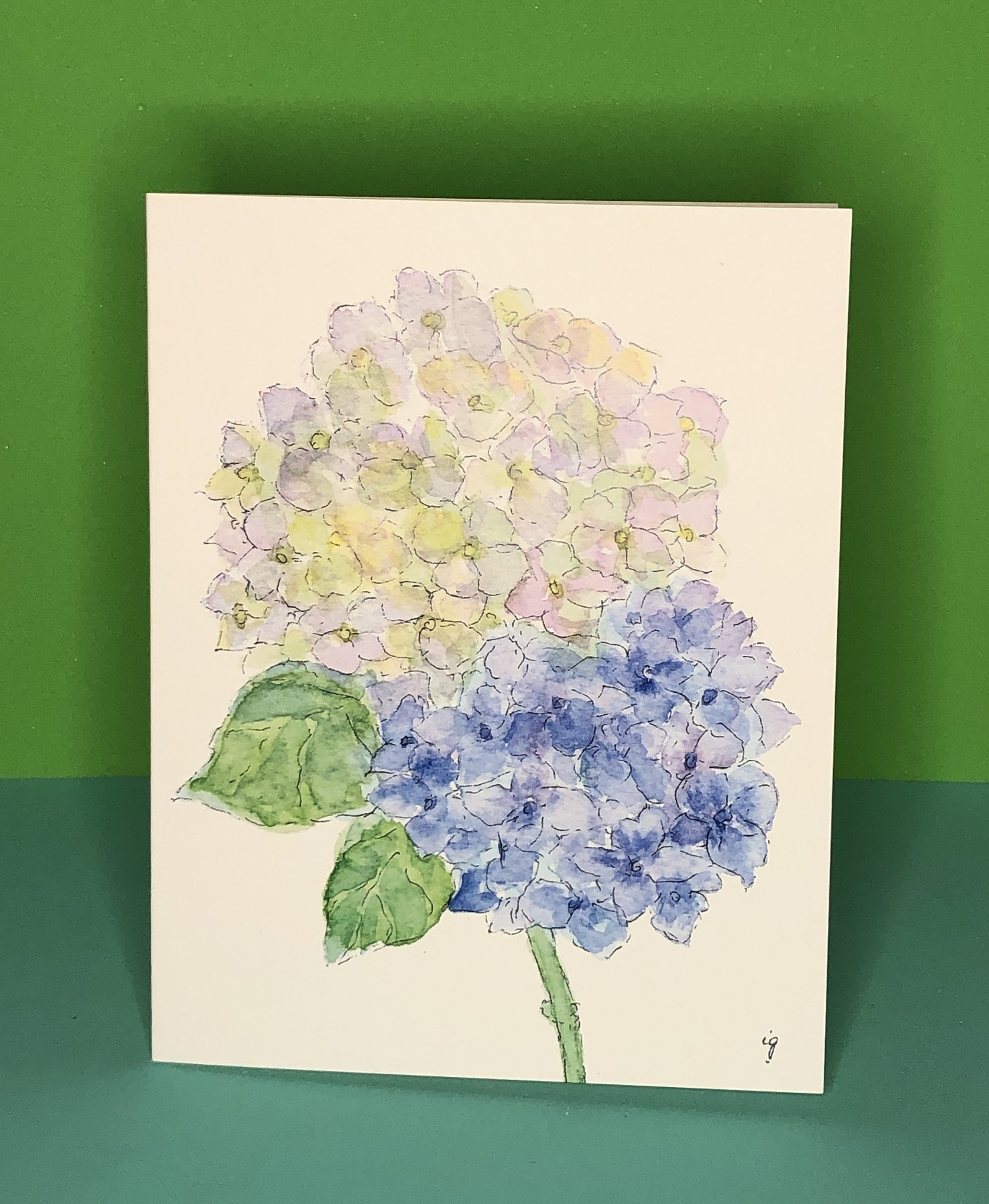 Hydrangea / Greeting Card / A2 / Stationery / Floral / Made in USA - Etsy