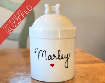 Personalized Handpainted Dog Treat Jar | Custom Name | High-Quality Pet Storage