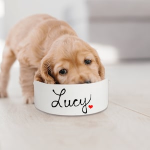 Custom Dog Bowl, Personalized Pet Bowl, Cute Heart Large Bowl image 1
