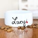 see more listings in the Personalized Pet Gifts  section