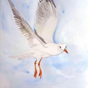 Originele aquarel zeemeeuw