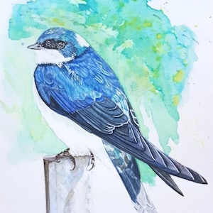 Original Watercolor Painting - Barn Swallow