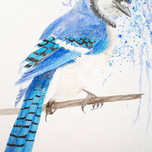 Original Watercolor Painting - Blue Jay