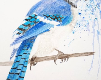 Original Watercolor Painting - Blue Jay