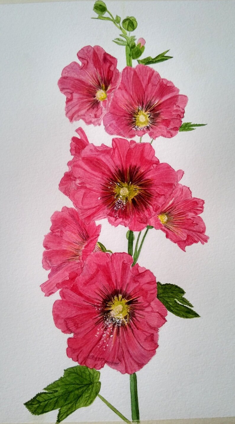 PRİNT Watercolor Hollyhocks Etsy
