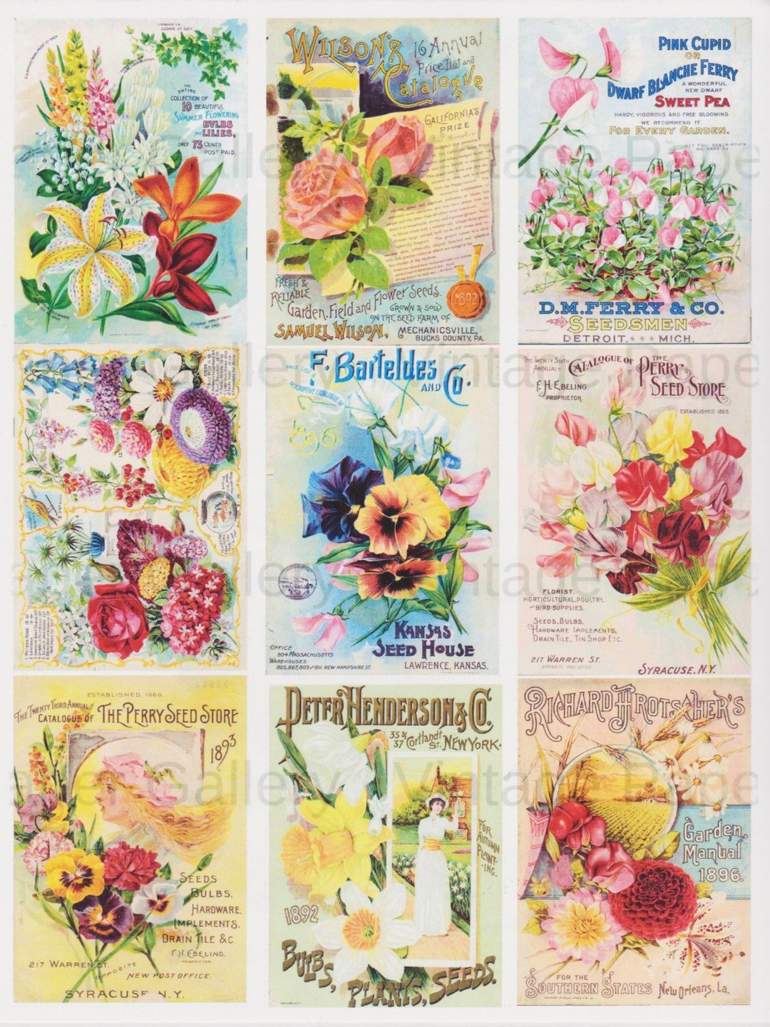 FLOWER SEED PACKS Download 9 Printable Images Arts &amp; Crafts - Etsy