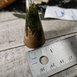 May include: A cone-shaped ring made of clear resin with gold and green moss inside. The ring is measured against a ruler, showing it is about 1 inch tall.