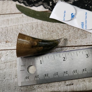 May include: A dark brown and green resin horn with a clear tip, measuring approximately 1 inch in length. The horn is sitting on a wooden surface next to a ruler.
