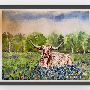 Texas Longhorn in Bluebonnets  watercolor art print, Texas Hill country wildflowers