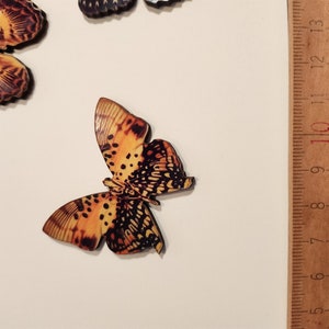 Beautiful butterflies wood cut decalled Die cuts image 3