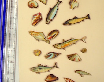 Fisk, fisk, mer fisk och snäckskal i trä.