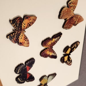 Beautiful butterflies wood cut decalled Die cuts image 2