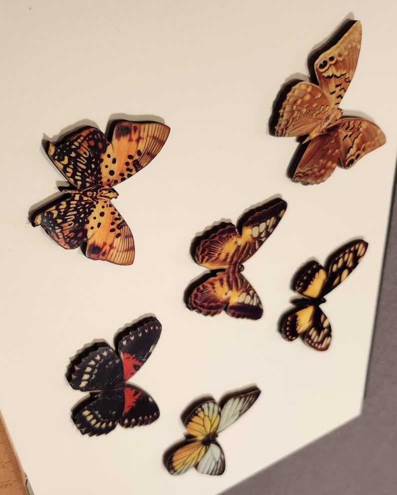 Beautiful butterflies wood cut decalled Die cuts image 2