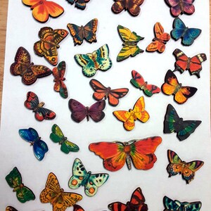 Wooden butterflies- large set- vintage images