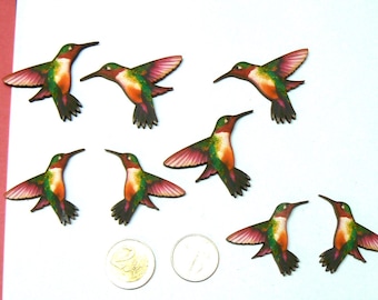 8 Humming bird wood die cut outs