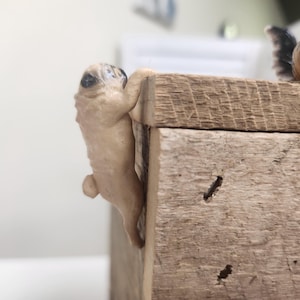 Peeking Pug Dog - ornament-decoratie