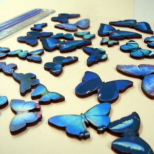 Big lot of butterflies, blue hues, wooden cut outs