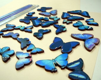 Gros lot de papillons, teintes bleues, découpes en bois