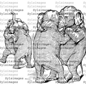 Digitaal aangeleverde vintage afbeelding Dancing Elephants Circus