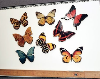 8 Beautiful butterflies wood cut - decalled- Die cuts- Sublimated!
