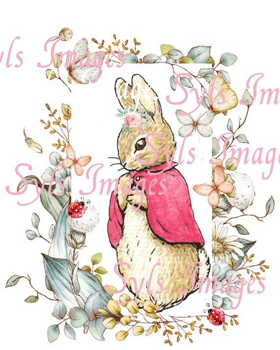 Flopsy From Peter Rabbit With Floral Frame digital Download | Etsy
