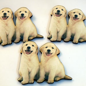 3 articles en bois pour chiots Golden retriever