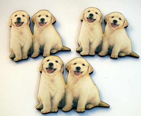 Golden retriever puppies wood supplies