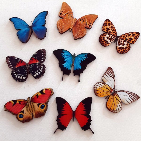 Wunderschöne Schmetterlinge Holzschnitt - decallt - 2b
