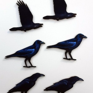 6 Crows, Black bird, Raven wood die cut outs