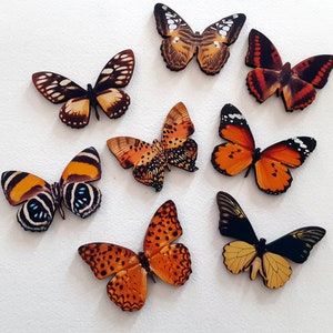Beautiful butterflies wood cut - decalled- Die cuts