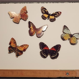 Beautiful butterflies wood cut decalled Die cuts image 1