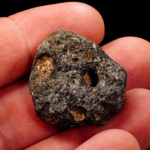 Könnte beinhalten: Ein kleiner, dunkelgrauer, poröser Stein mit einer rauen, unebenen Oberflächenstruktur. Der Stein weist mehrere ausgeprägte kreisförmige Vertiefungen und kleine Löcher auf, die hellbraune mineralische Einschlüsse in der dunklen Matrix zeigen.