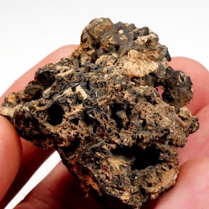 Crosta de Fusão - CRÂNIO DE CRISTAL DE METEORITO - Vale de San Luis ~ Rodovia Cósmica - EUA ~ Achado Raro - 51 x 46 mm - Orgonite Incluso