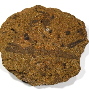 May include: A roughly circular rock with a textured surface. The rock is predominantly tan and brown, with darker brown and black spots. A dark, linear marking is visible across the surface. The rock is on a white background.