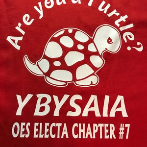 Are You a Turtle?  Shirt