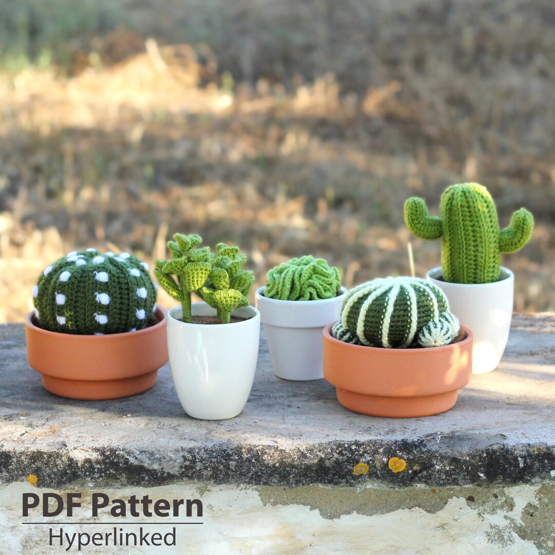 PATTERN: Amigurumi Cactus Pattern • Crochet Succulent Bundle • PDF