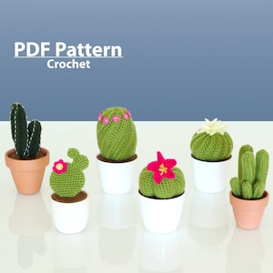 PATTERN: Crochet cactus amigurumi pattern. Crochet succulent. Pattern bundle. Digital Download PDF