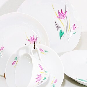 Mid Century Winterling Marktleuthen Bavaria WIG1514 Stylized Pink Arrowroot Flowers, green and gray leaves, yellow and gray grass dinnerware set. 37 piece dinnerware set