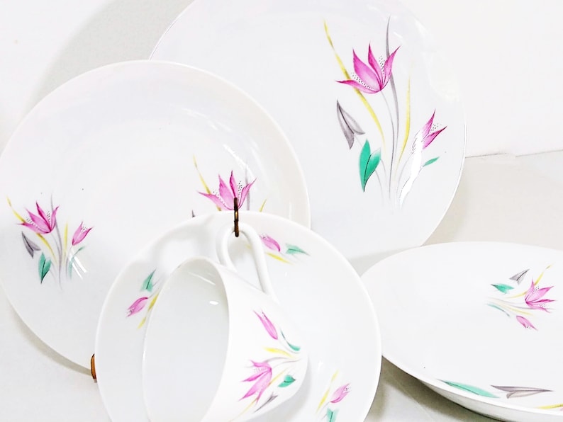 Mid Century Winterling Marktleuthen Bavaria WIG1514 Stylized Pink Arrowroot Flowers, green and gray leaves, yellow and gray grass dinnerware set. 37 piece dinnerware set