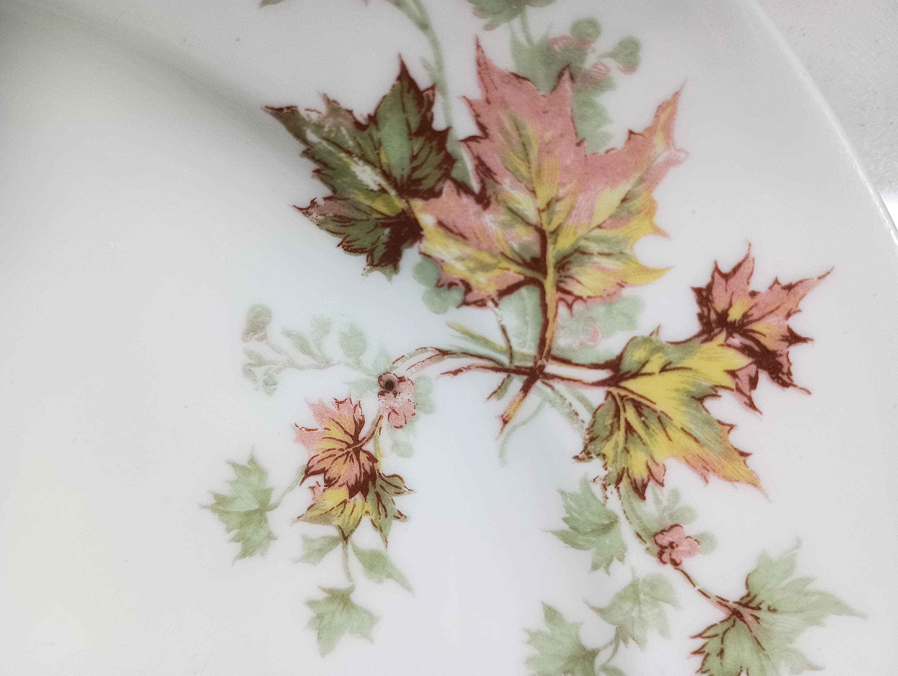 Haviland Limoges Autumn Leaf Plain Edge 1930s Porcelain China