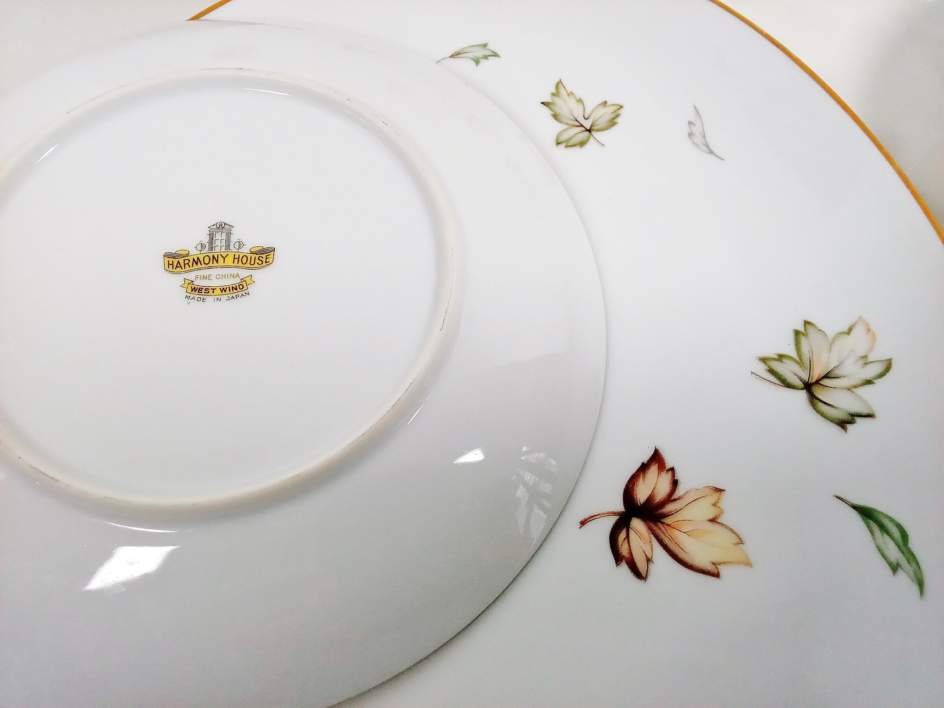 Vajilla Harmony House West Wind. Hojas de arce de otono cayendo sobre platos de porcelana blanca platillos y crema. fuente y tazon para servir anos 50 Etsy Espana