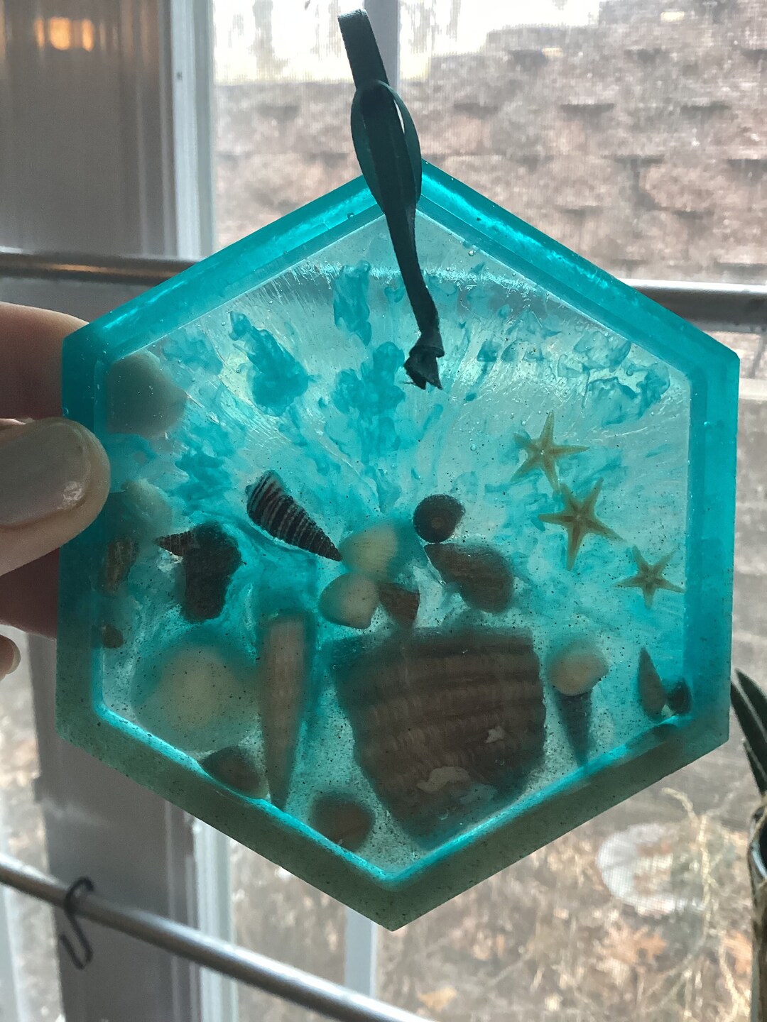 Hexagon Seashell Resin Wall Decor. Etsy