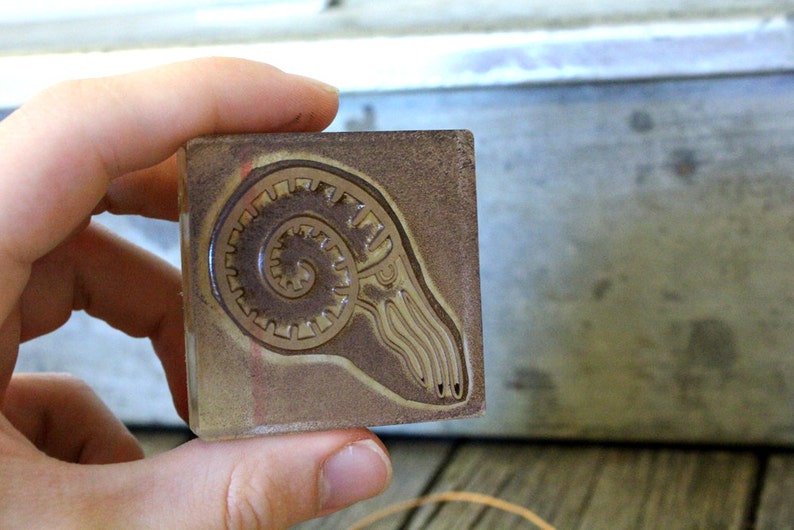 Nautilus Rubber Stamp