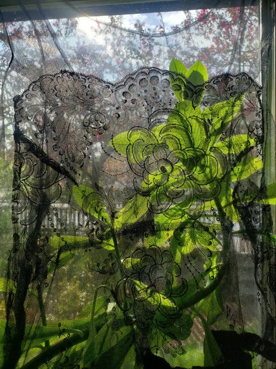 Edwardian Black Chantilly Lace Camisole - image 2