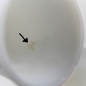 Puede incluir: Primer plano de un cuenco de cer&aacute;mica blanco con una peque&ntilde;a mancha marr&oacute;n en el interior.